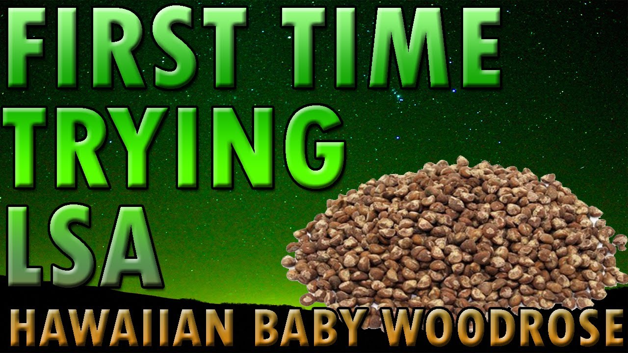 First Time Trying LSA - Hawaiian Baby Woodrose Seeds (Story Time)