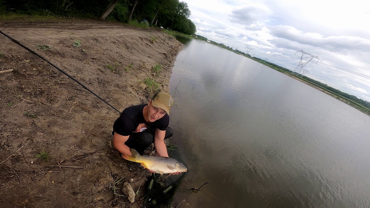 Łowisko  Rogów Legnicki- Karp boss