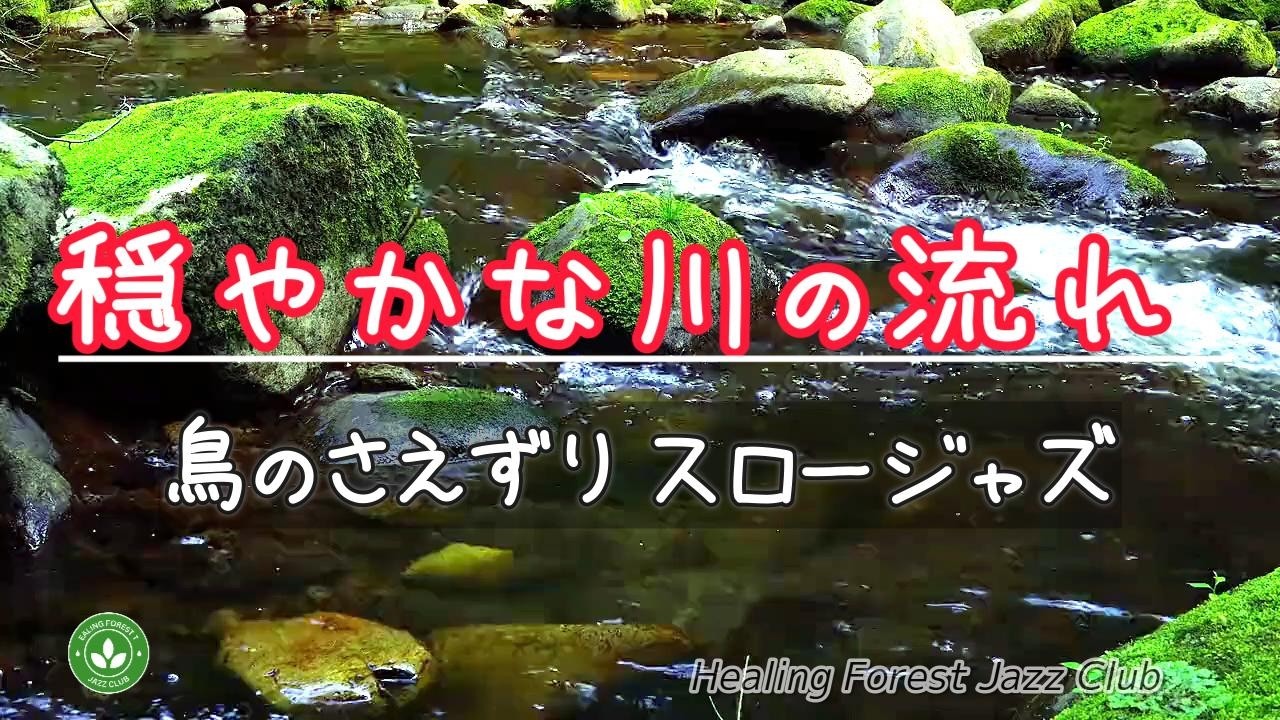 【癒しBGM】癒しの森でリラックス ＃561 / 穏やかな川の流れ / 鳥のさえずり / スロージャズ