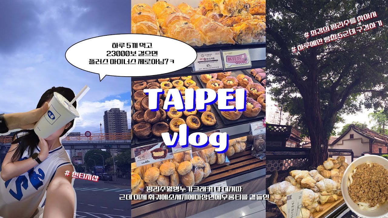 대만여행 vlog🌦️ep.3 l 최고의 펑리수🍍를 찾아서 l 이모 혼놀🤘잘하지 l 현지인 아침식사맛집💗💗 발견!! l 임가화원🌳, 소반베이커리 l 미대생🎨의 대만 미술관 투어