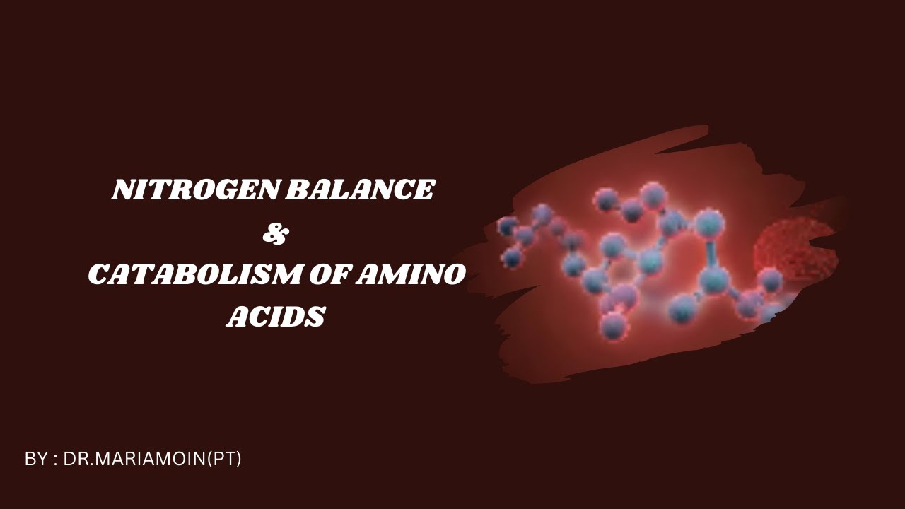 Nitrogen Balance and Catabolism of Amino Acids| Biochemistry | DPT , MBBS