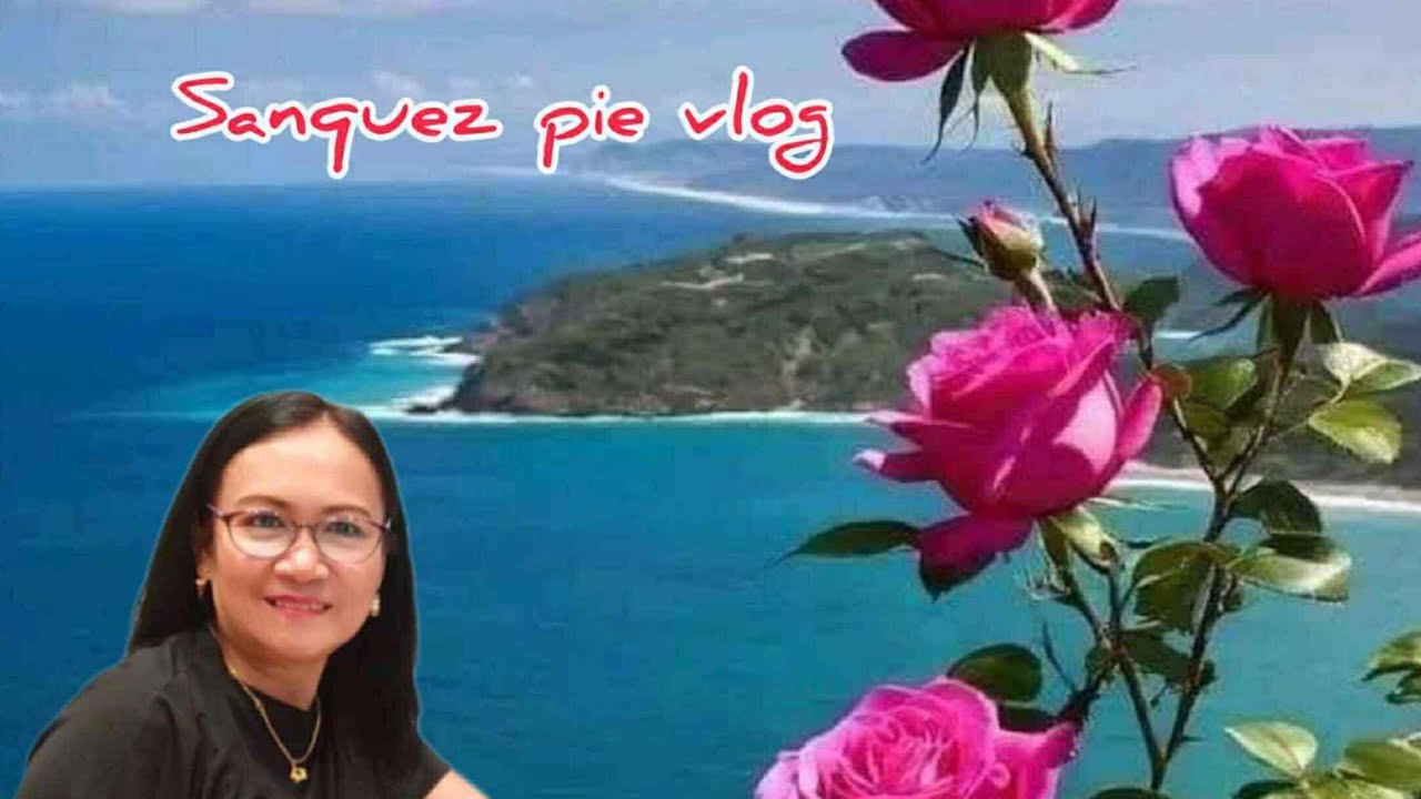 Sanquez pie vlog SLS update January 18,2026