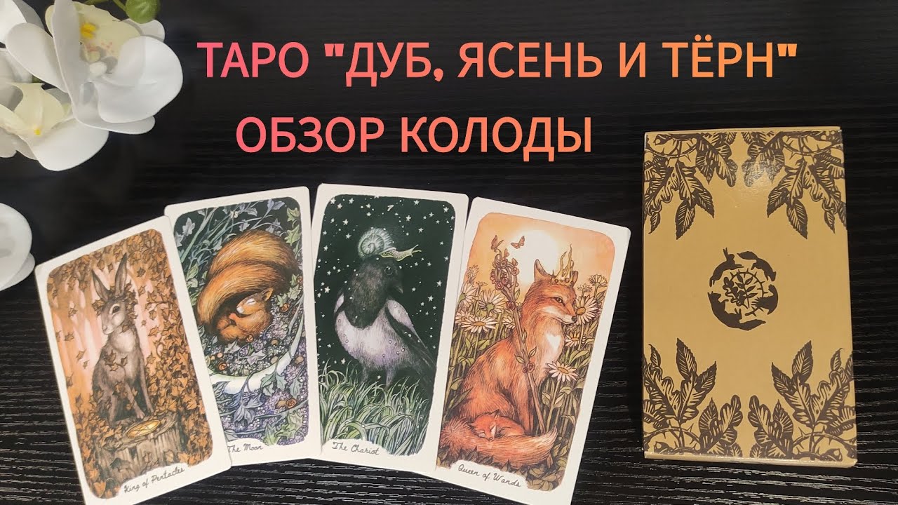 ДУБ, ЯСЕНЬ И ТЁРН. ОБЗОР АНИМАЛИСТИЧЕСКОГО ТАРО. Гаданием на 4 варианта