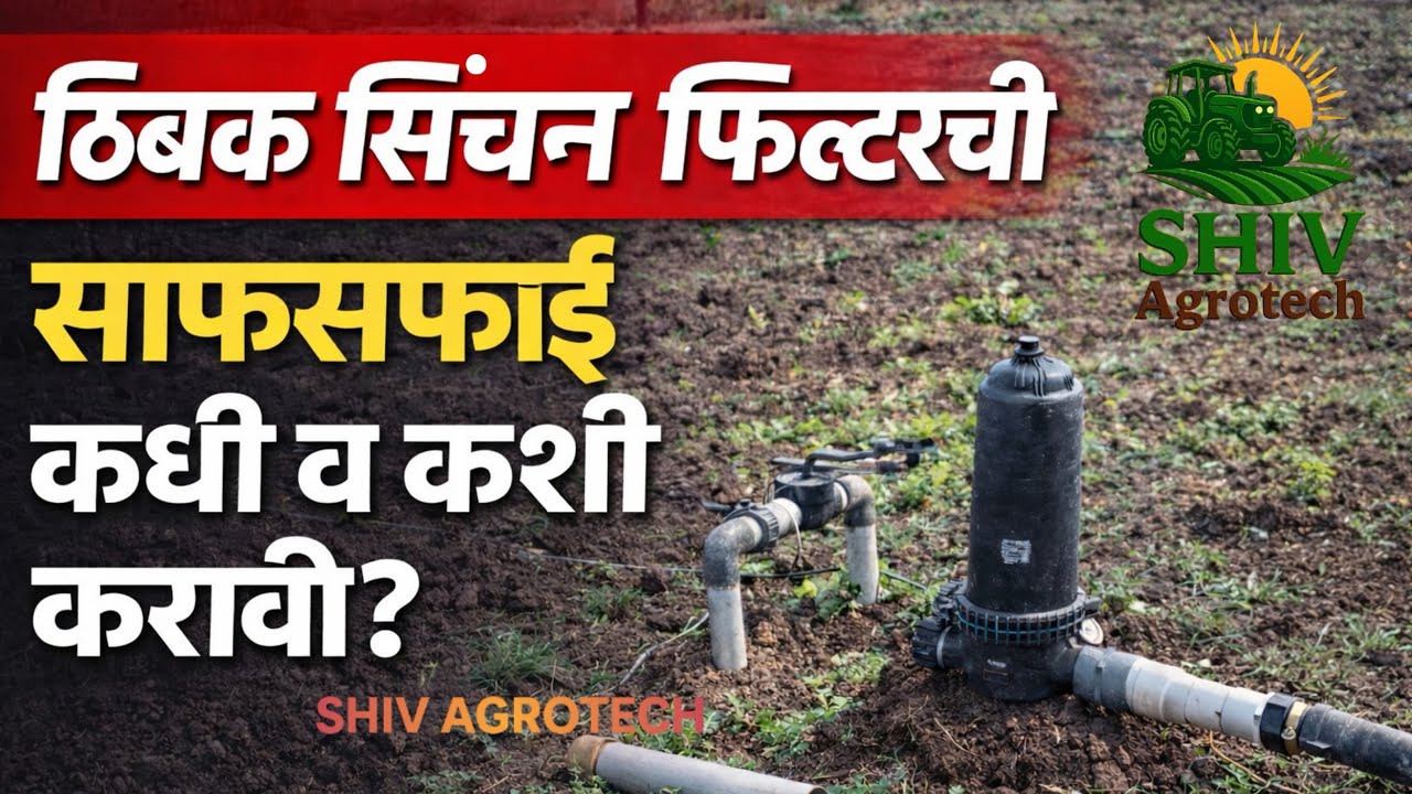 ठिबक सिंचन फिल्टरची साफसफाई कधी व कशी करावी? | Drip Filter Cleaning Complete Guide