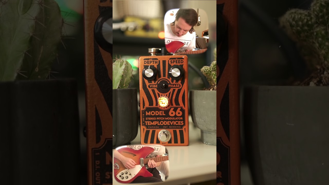 Model 66 ((STEREO)) Vibrato and Phaser from @templodevices