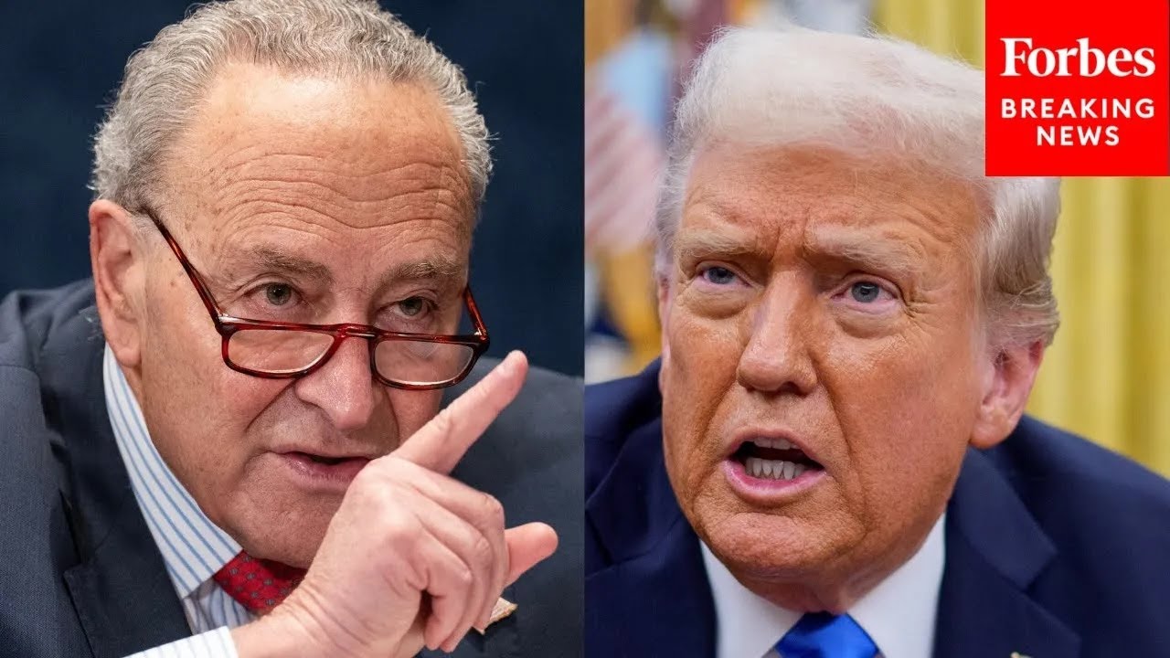 Schumer: This Is What We Told Trump He Could Do To Stop Government Shutdown