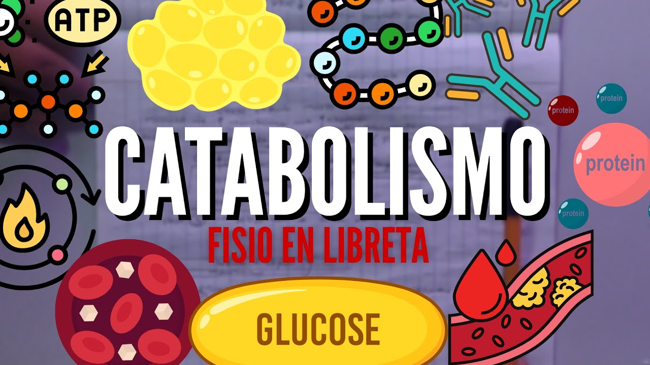 ¿Que es el CATABOLISMO? | RESUMEN COMPLETO | Anatomia en Enfermeria
