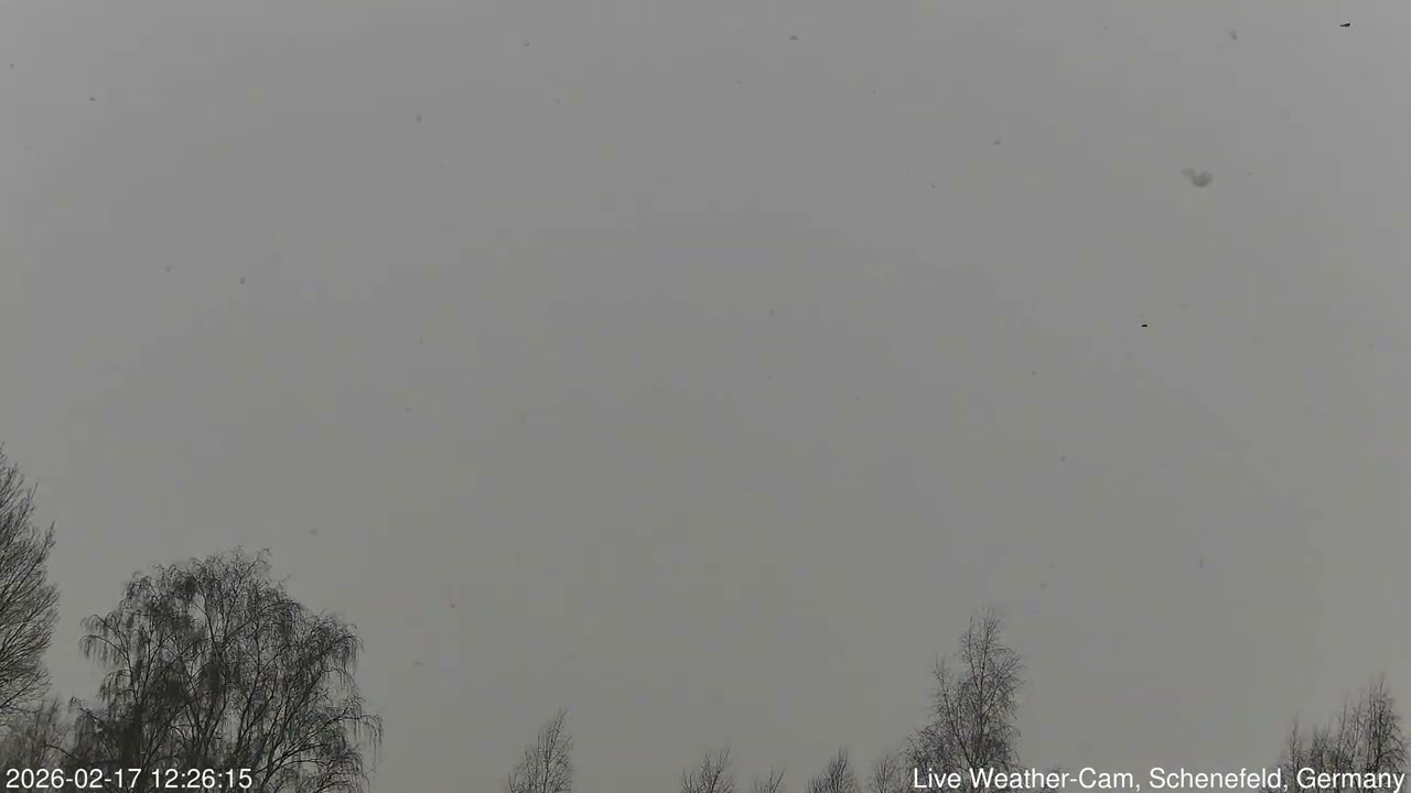 2026-02-17 Schenefeld Wetter