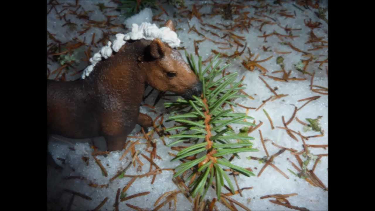 Les For&ecirc;ts Noires &agrave; la neige ! (+ Bonus) ☼