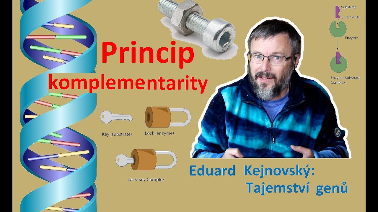 Příklady principu komplementarity (Tajemství genů 52)