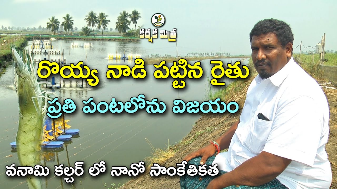 వనామి రొయ్యల సాగులో యువరైతు విజయభేరి || Better farming methods in vannamei shrimp || Karshaka Mitra