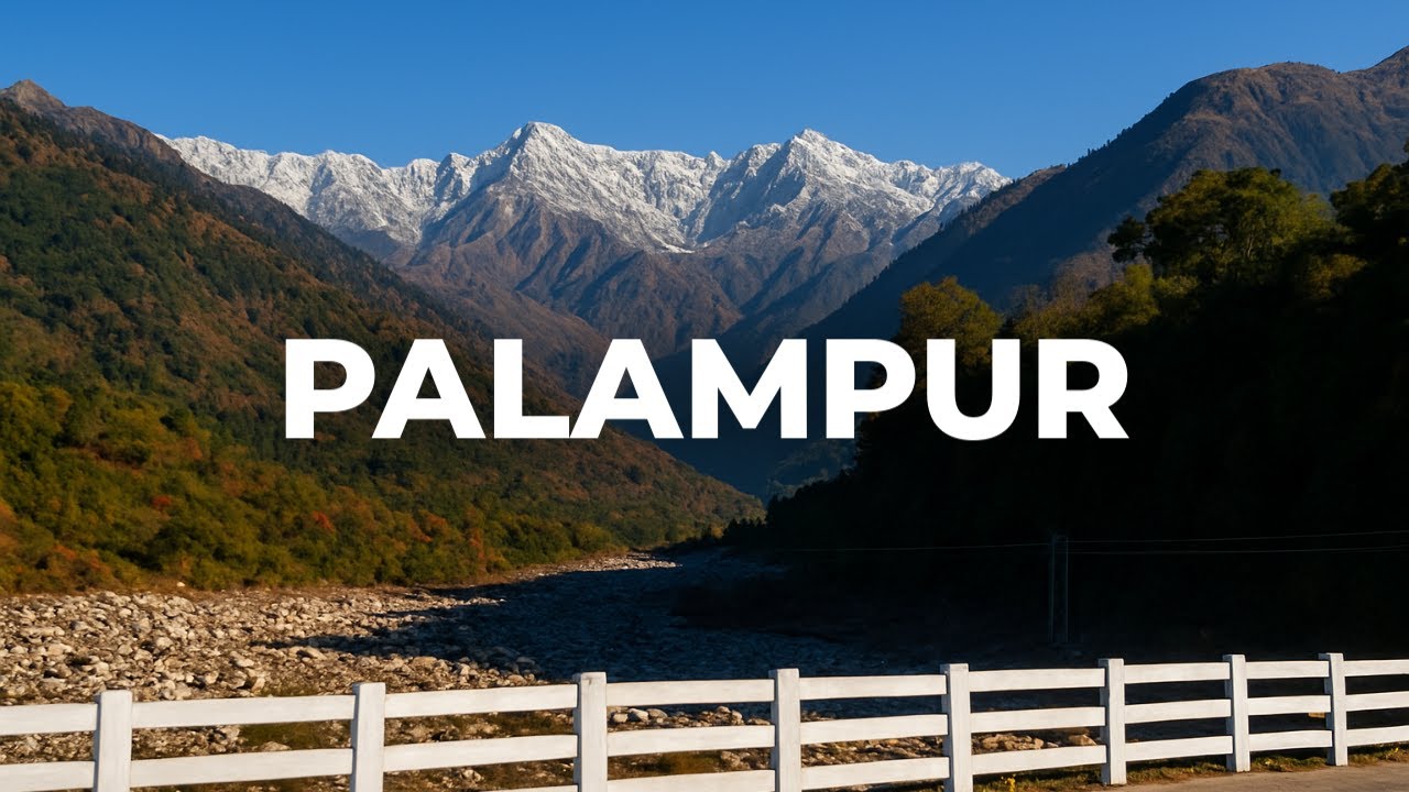 PALAMPUR  │ PALAMPUR TOURIST PLACES │  PALAMPUR TOUR │ PALAMPUR TRAVEL VLOG │ PALAMPUR IN OCTOBER