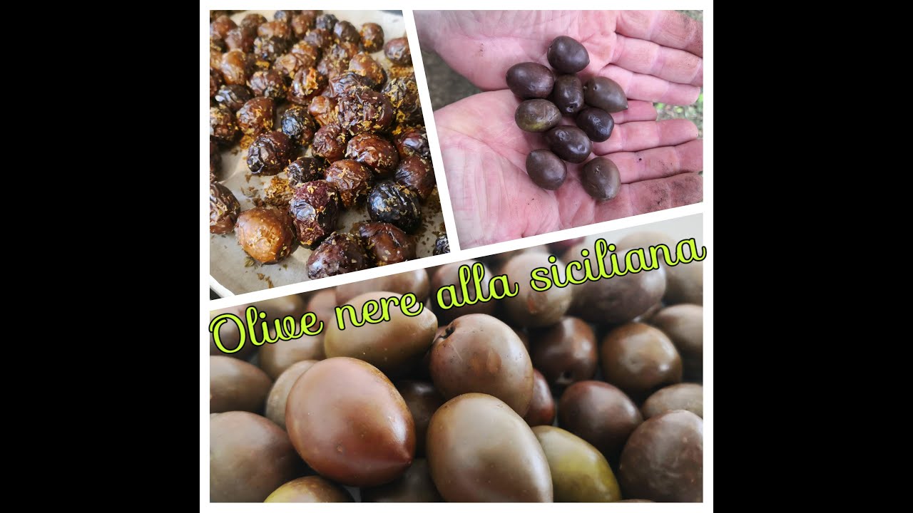 Olive Nere al Forno