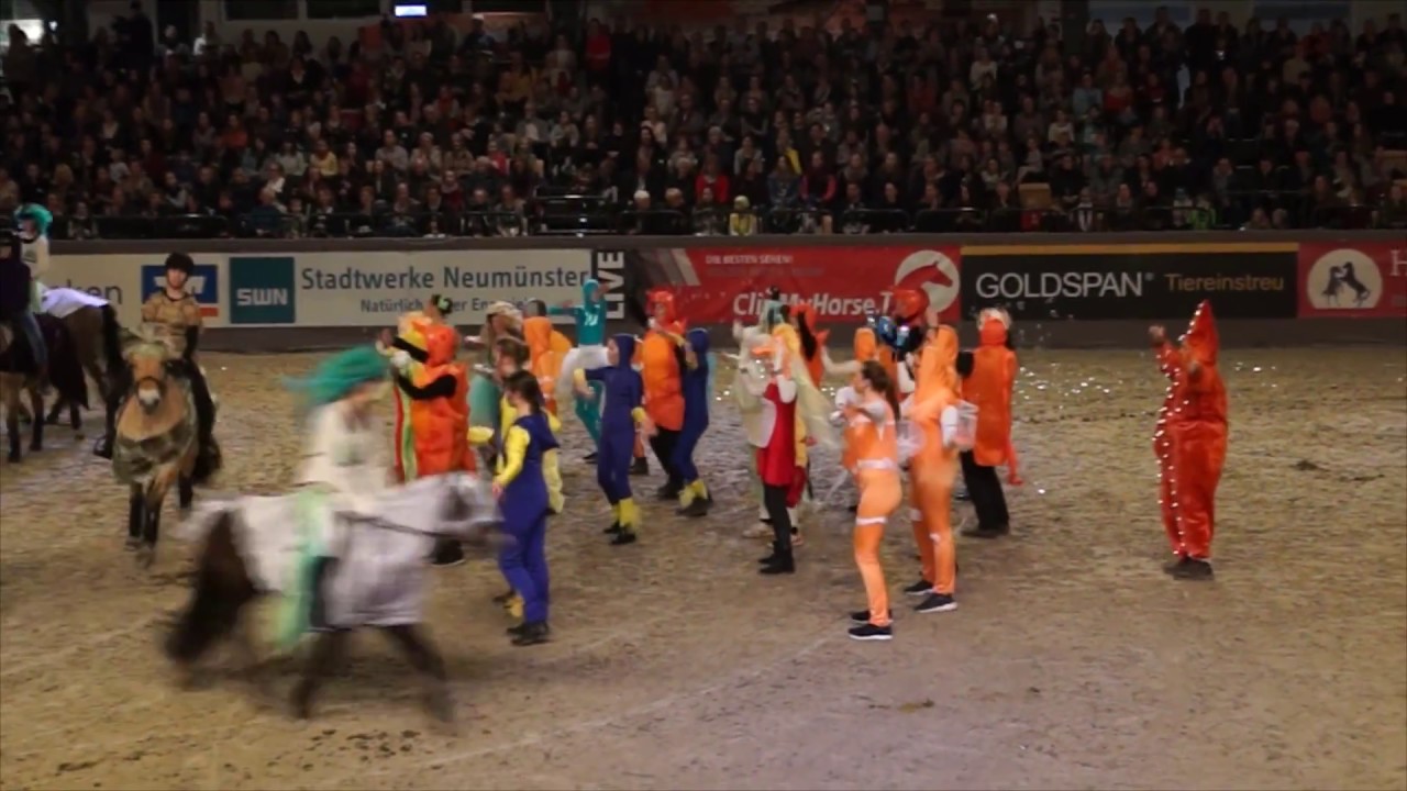 VR Classics 2017 Schauwettbewerb - RuFV Kisdorf