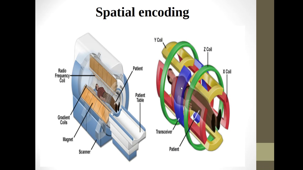 MRI Physics Part 16 :  Spatial Encoding  اساسيات فيزياء  الرنين المغناظيسي بالعربي