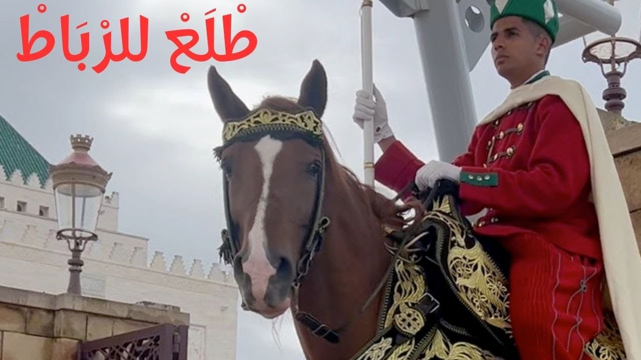 جولة خفيفة فالرباط