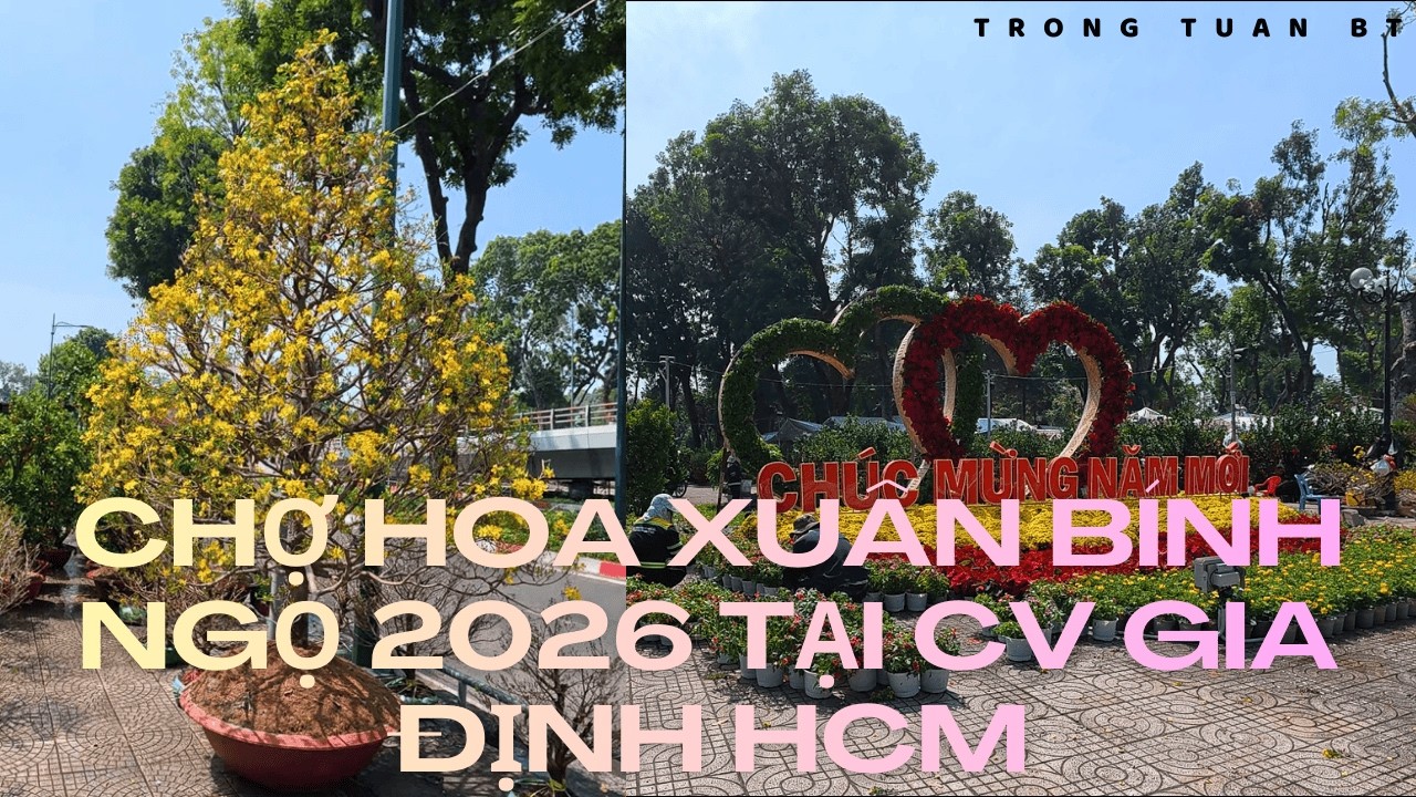 Tập 3. Chợ hoa xuân Bính Ngọ 2026 tại công viên Gia Định HCM | TRONG TUAN BT
