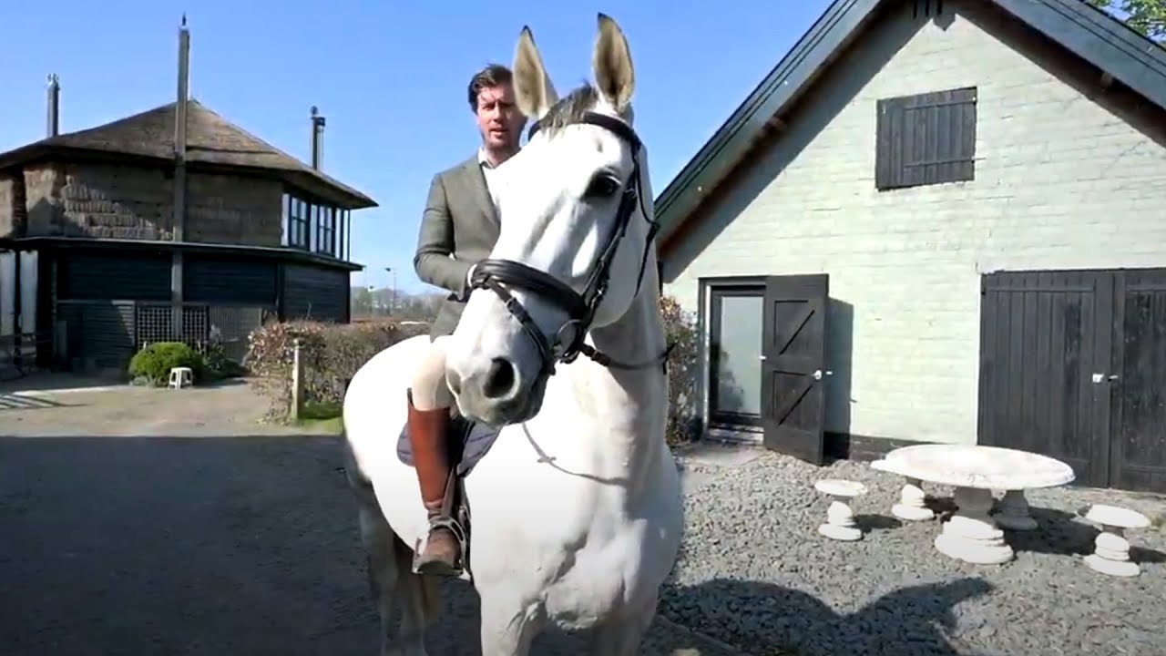 Op bezoek bij Koen Limpens, de makelaar te paard
