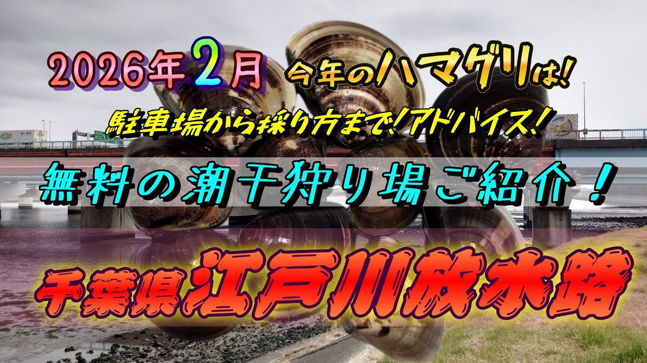 【2026】江戸川放水路にて無料潮干狩りをご紹介します！