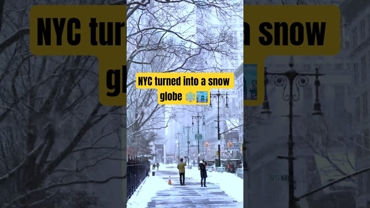 POV: Snow Walk in Central Park ❄️ | Winter in New York 