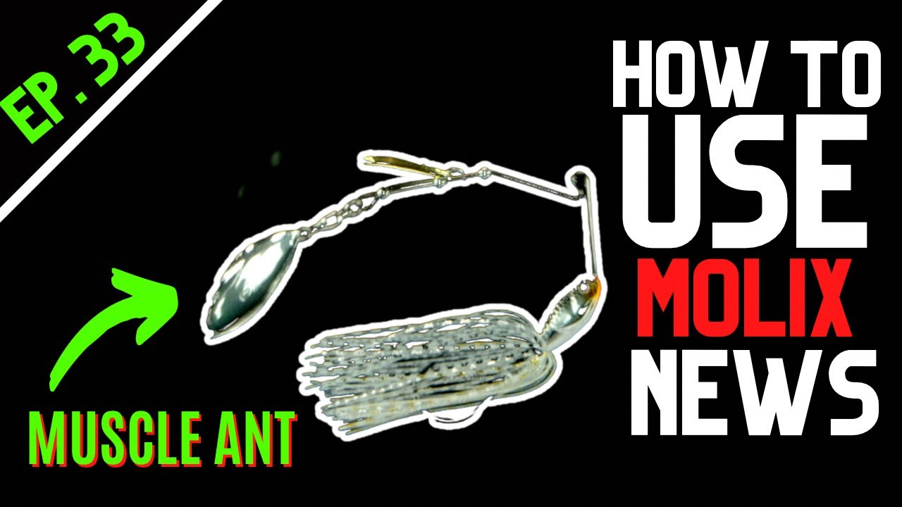 HOW TO USE | MOLIX NEWS - EP.33 | MUSCLE ANT