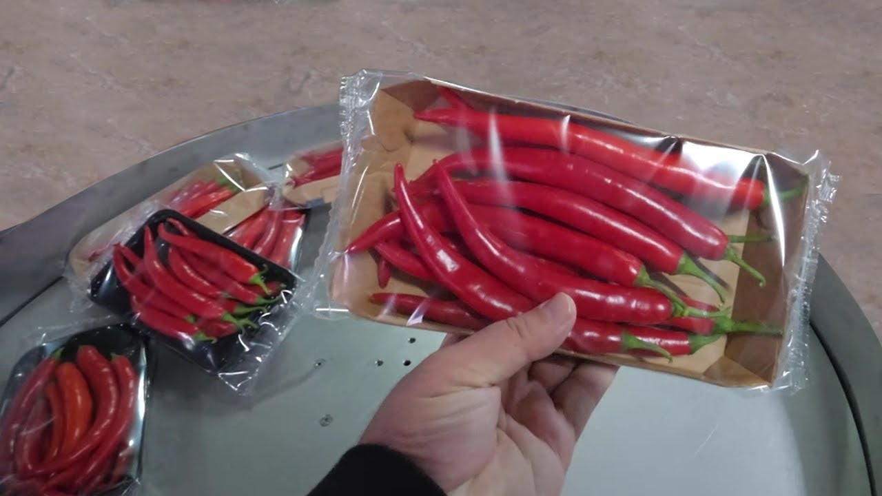 NP-400 Flow-Pack Vegetables Packaging Machine / آلة تغليف الخضار / Sebze Paketleme Makinesi