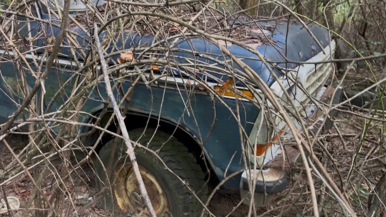 Part one! Can this 79 Dent side be saved? #ford #restoration #mechanic#offroad #dentside#automobile 