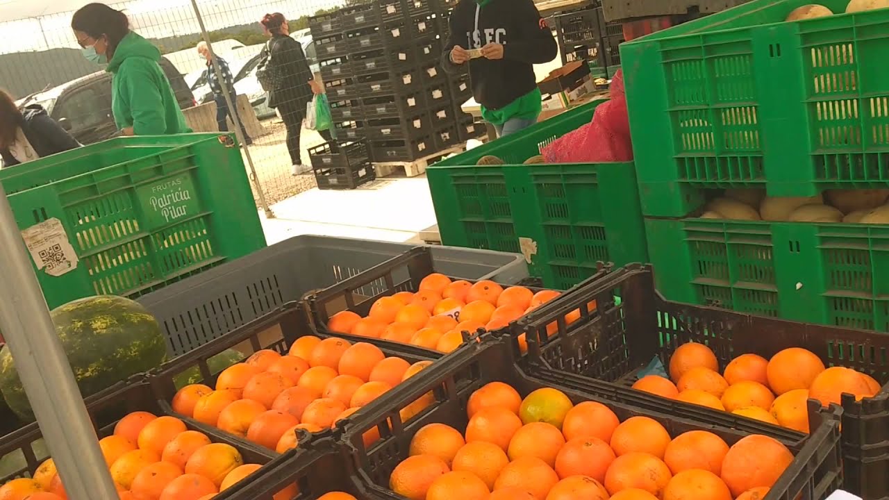 Conhecendo a Feira de Santana em Leiria Portugal