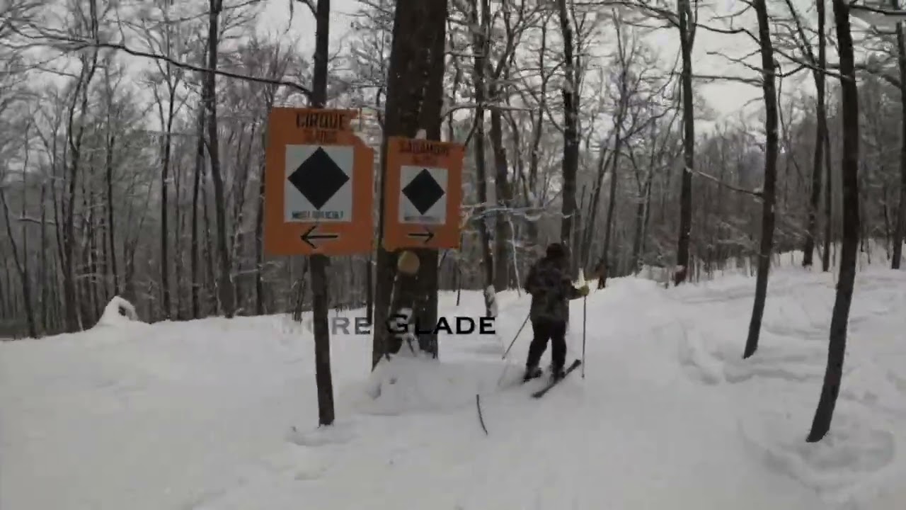Gore glades compilation