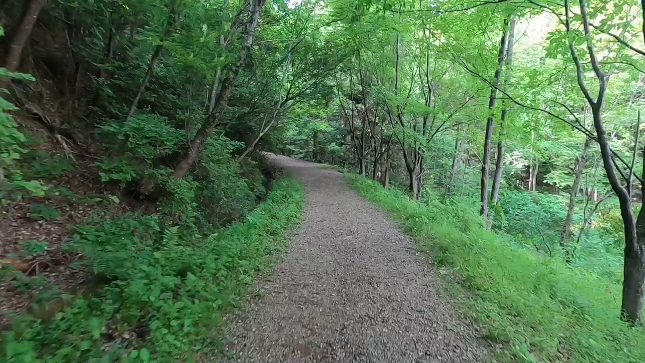 かかみ野自然遺産の森　ＭＴＢコース　初心者推奨ルート