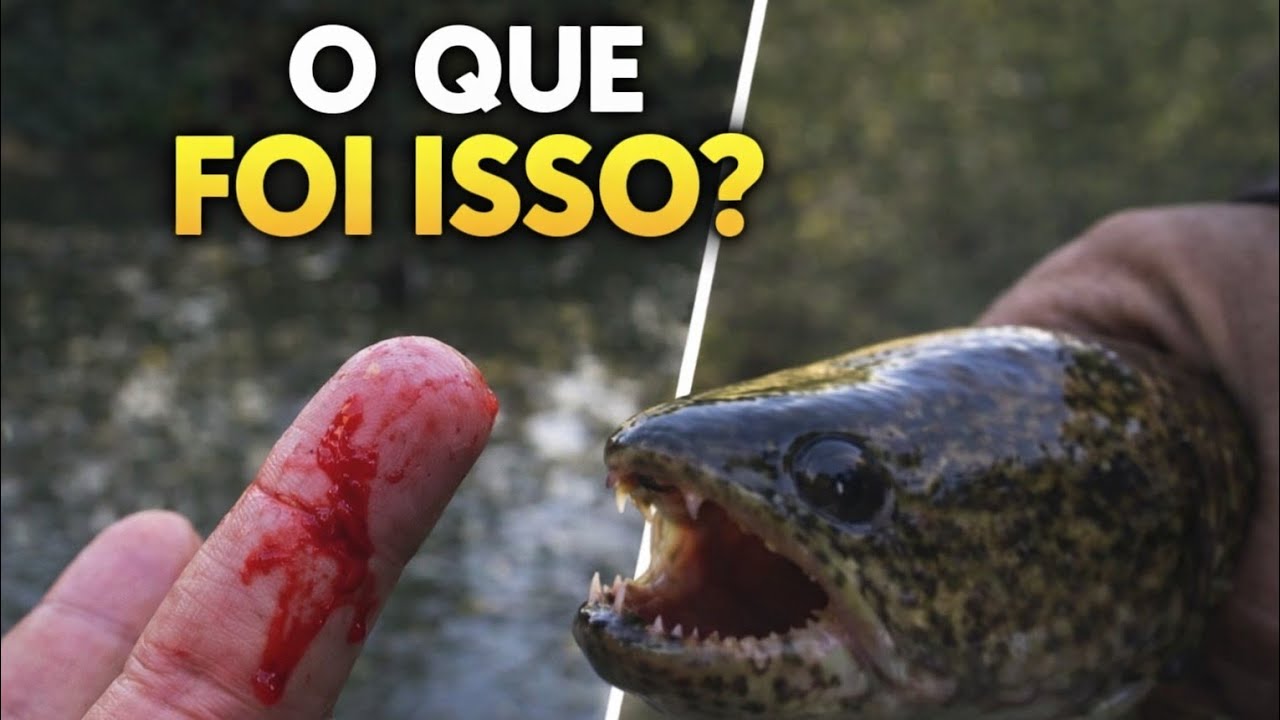 👉 A TRAÍRA atacou quando eu menos esperava… 😳🎣
