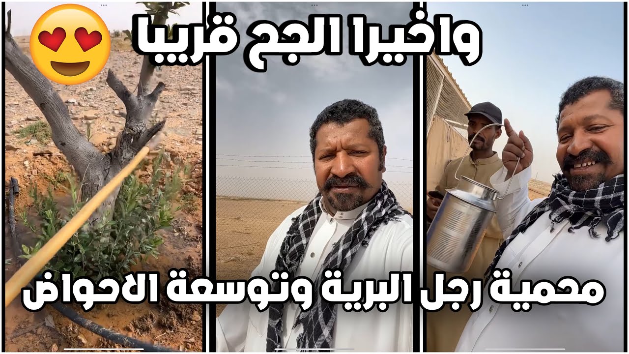 يوميات رجل البرية | محمية رجل البرية وتوسعة الاحواض #السعودية | 13 - 3 - 2024