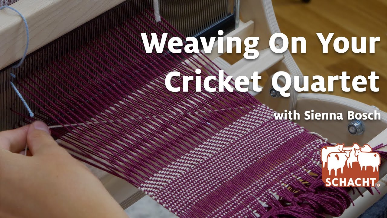 Weaving On Your Cricket Quartet