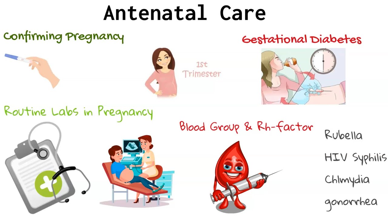 Prenatal/Antenatal Care _ Obstetrics