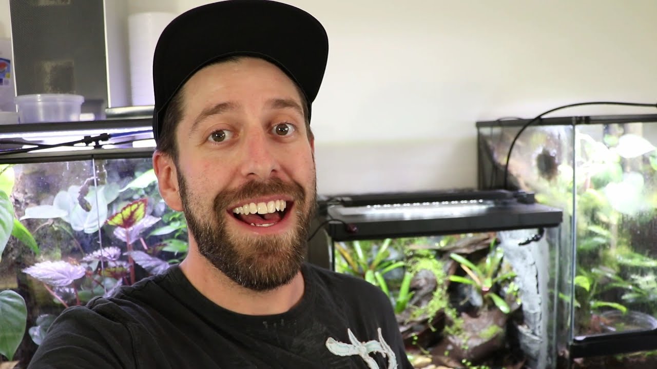 Как установить насадку MistKing на бак Frogs&Co — сверление не требуется
