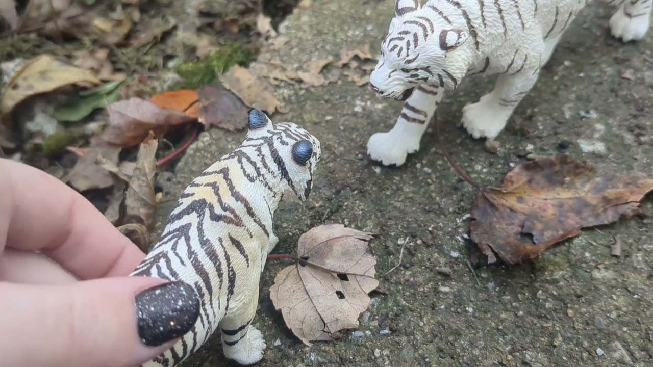 color doesn't matter, Episode 1: tiger and cat figure series