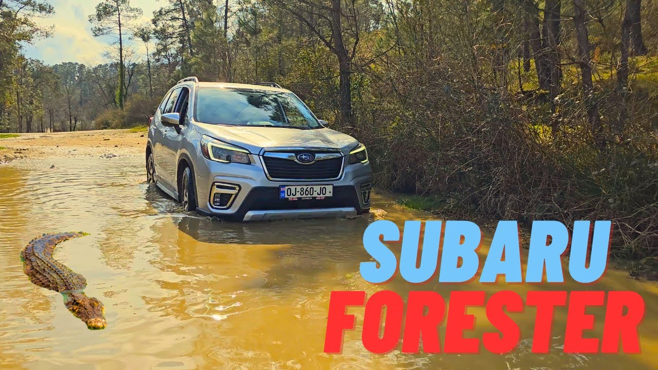 რატომ არის Subaru Forester ასეთი მოთხოვნადი SUV