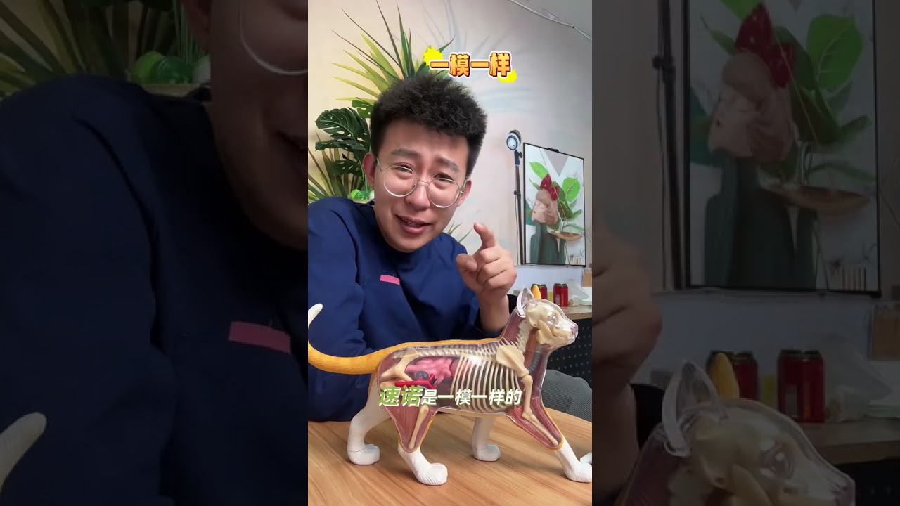 养宠人一定要知道的秘密毛孩子这些小问题别花冤枉钱 养宠人一定要知道的秘密毛孩子这些小问题别花冤枉钱养猫经验分享 新手养猫 养狗经验分享 新手养狗养猫人