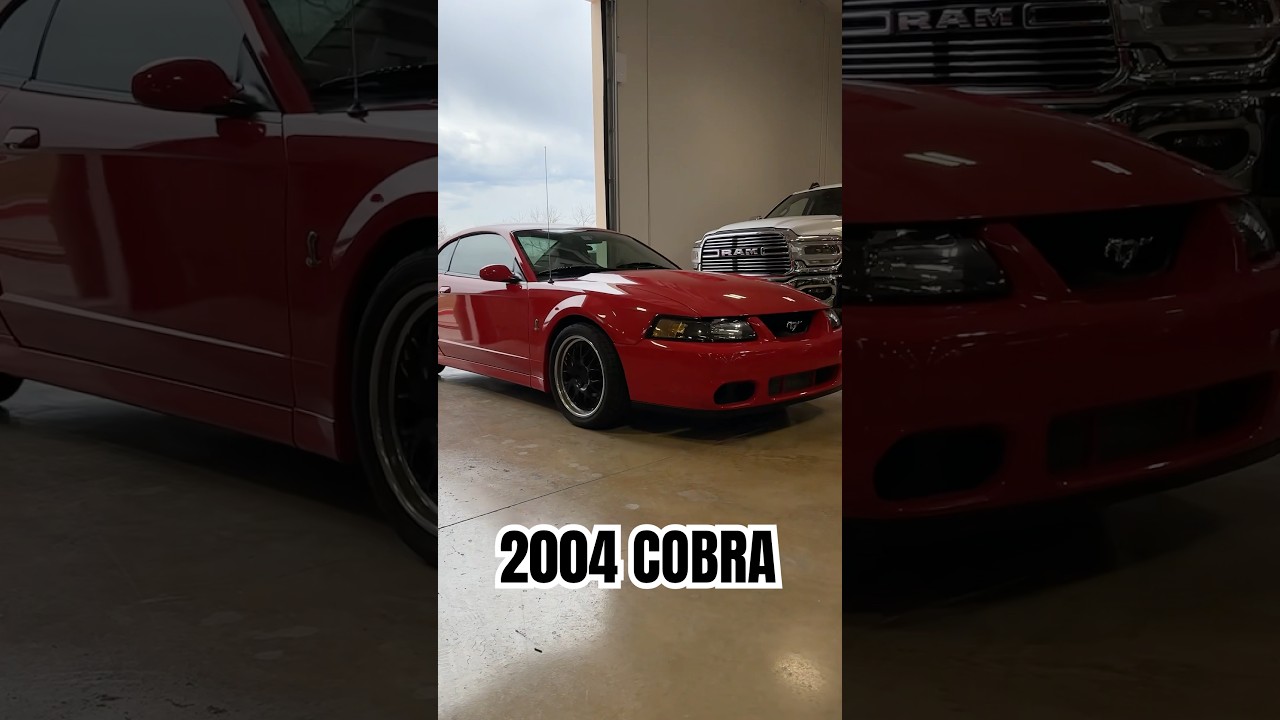 NEW ARRIVAL - 2004 Ford Mustang Cobra #cobra #mustang #fordmustang