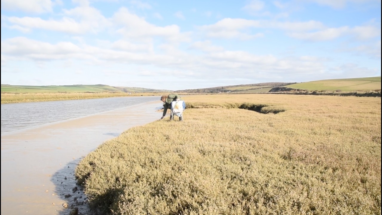 BHASSEXPLORE Part 2 Cuckmere Haven 14 02 26