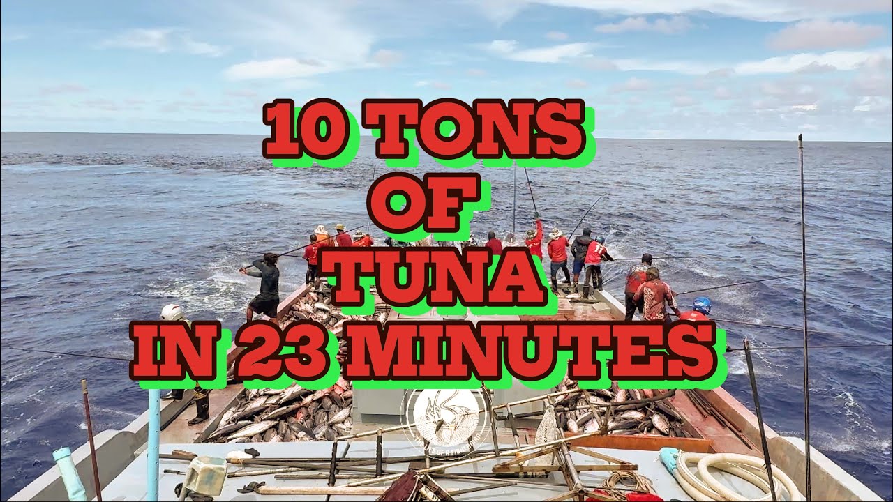 Full video of catching 10 tons of skipjack tuna in 23 minutes 🙀🎣