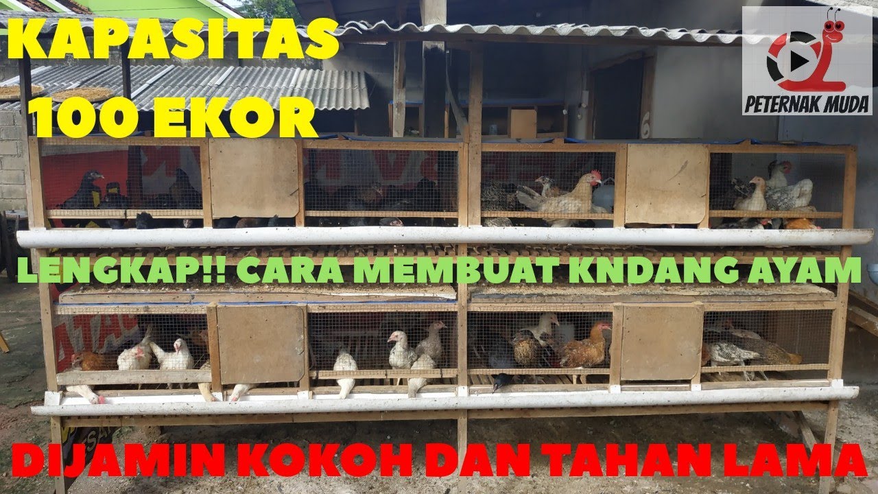 WAJIB TAU!! CARA MEMBUAT KANDANG YG PATEN
