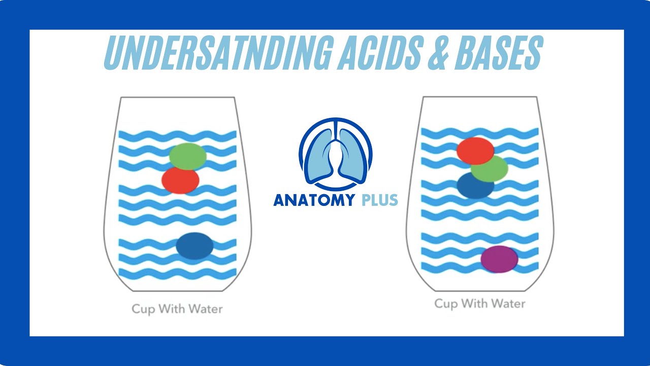 Acids & Bases
