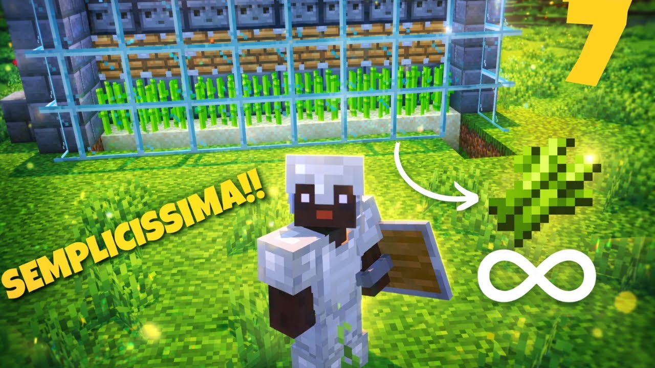 Farm di CANNE DA ZUCCHERO AUTOMATICA! Minecraft Vanilla 07