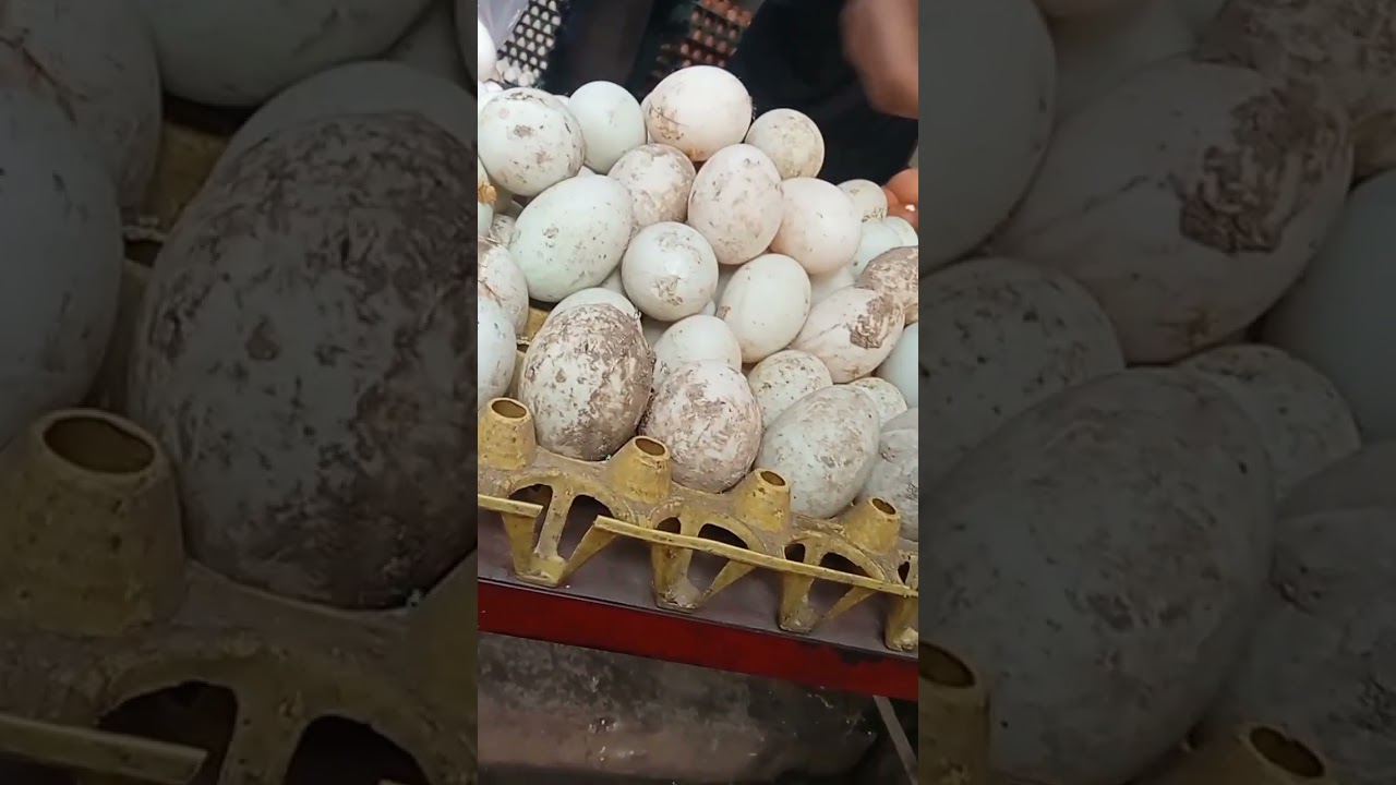 মুসলিম বাজার গেলাম সদাই কিনতে। 