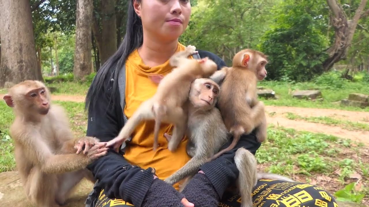 Dawn and her friends really love new abandoned Binky and Winky they always care of them instead KT