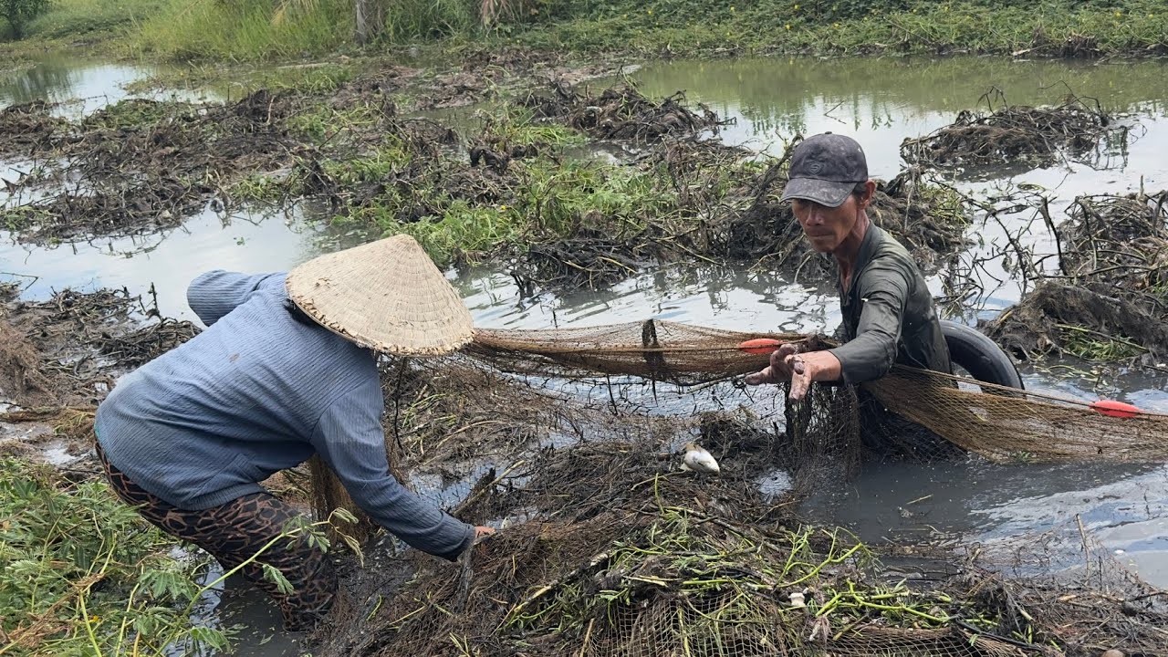 Tam Quoc Thinh Vlog - unique killer hunting catfish in Ham Luong river. @tamquocthinh2025