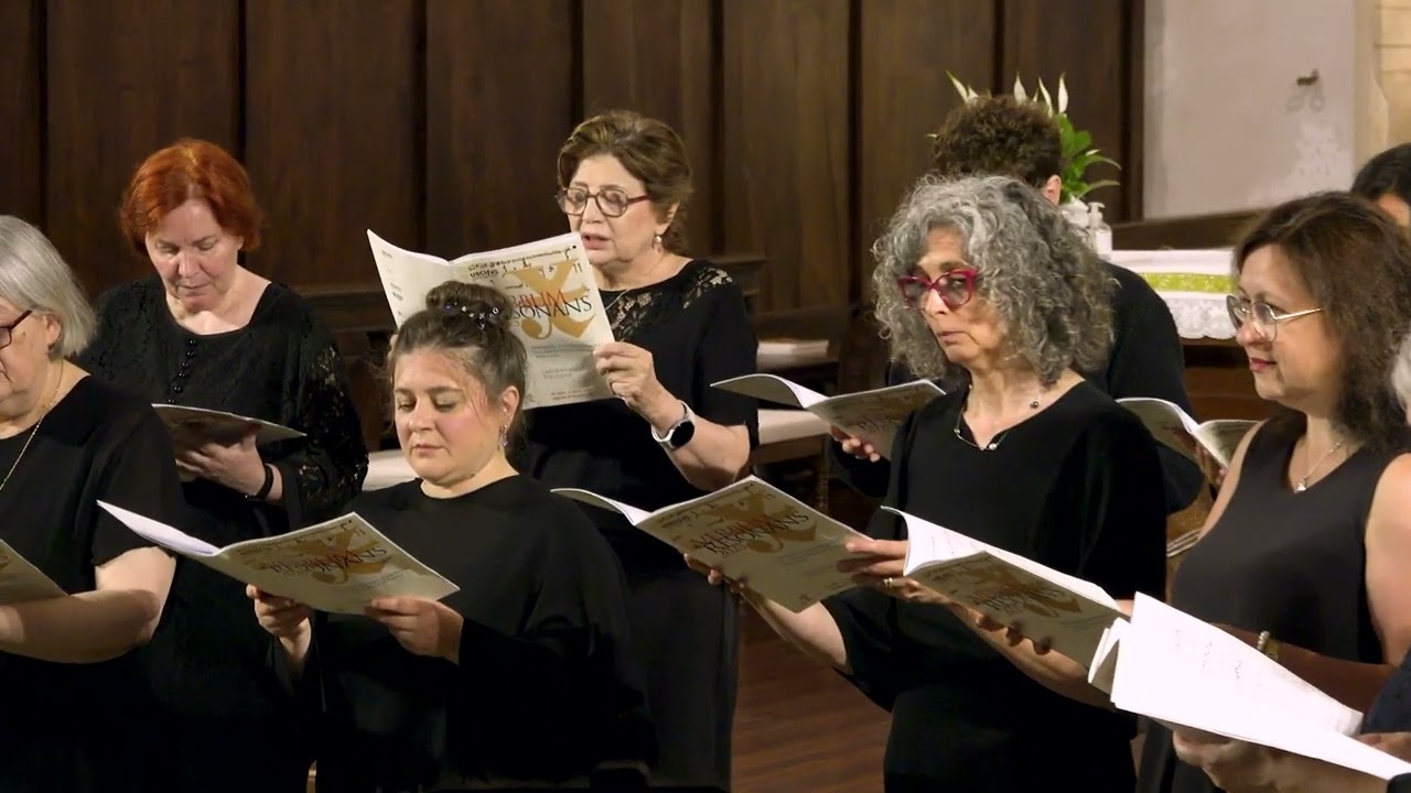 Verbum Resonans 2025 | concerto finale