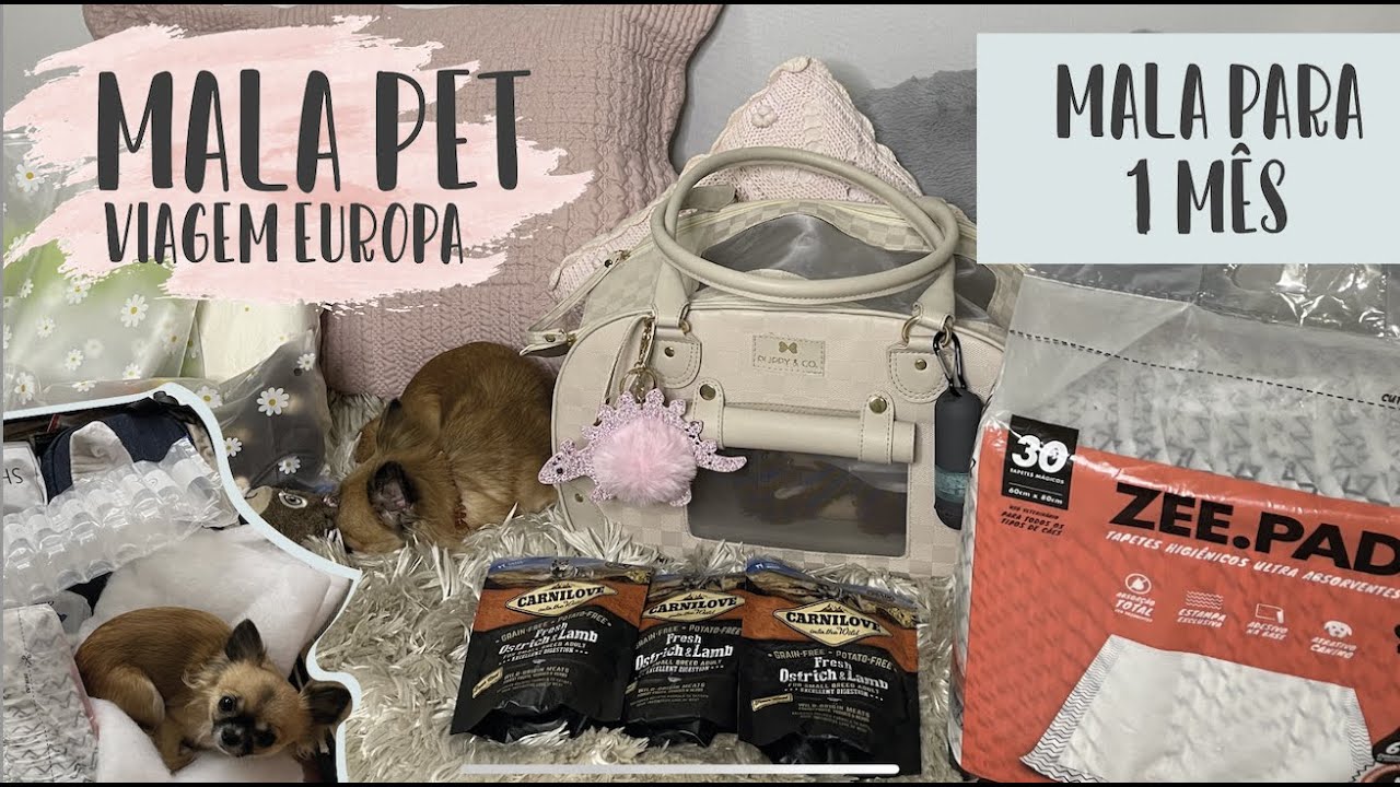 MALA PET VIAGEM INTERNACIONAL | MALA PARA 1 MÊS NA EUROPA
