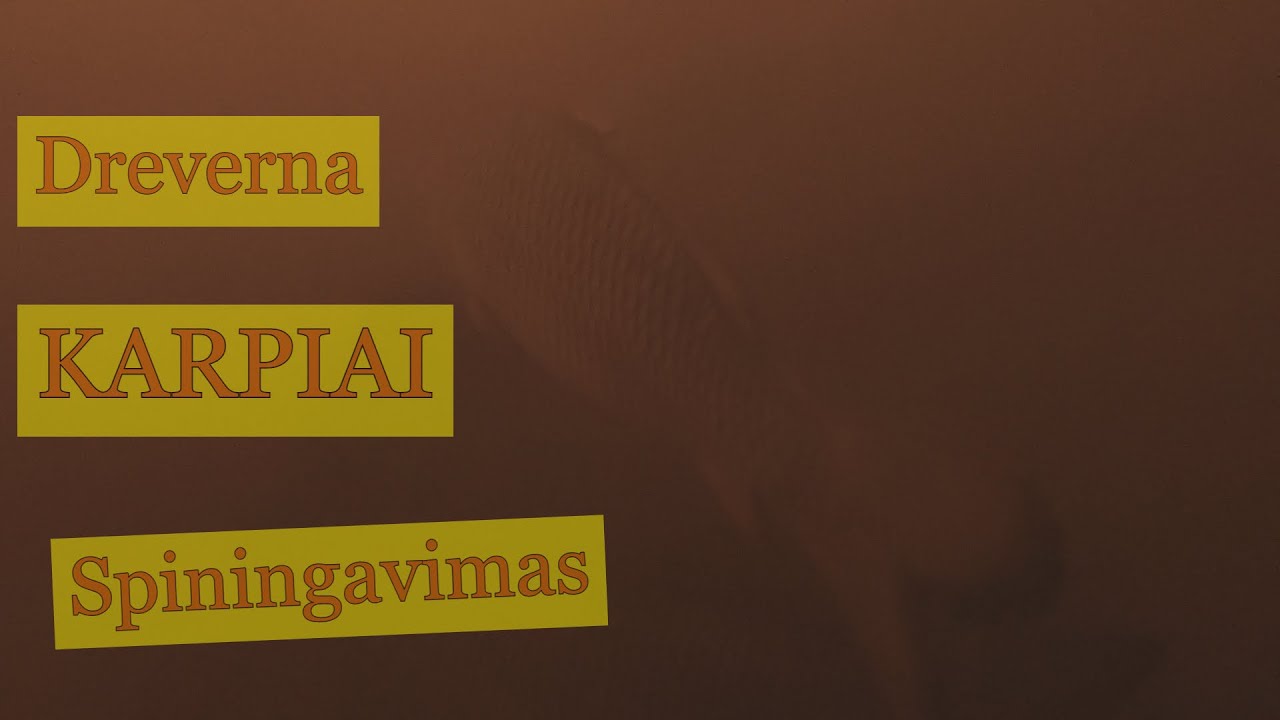 Dreverna po vandeniu, KARPIAI, e&scaron;eriai ir spiningavimas